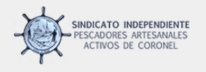 SINDICATO